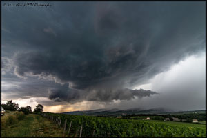 15 Juillet 2023 - Chevagny-Lès-Chevrières (71)