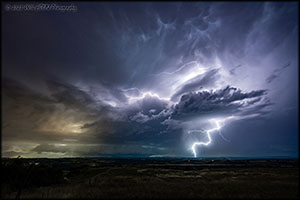 25 juin 2025 - Mont Rome (71)